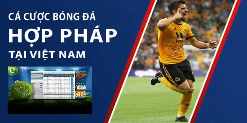Bật mí Thông Tin Về Kèo Cá Độ Bóng Đá Chi Tiết Cho Newbie - BSPORT - TO79