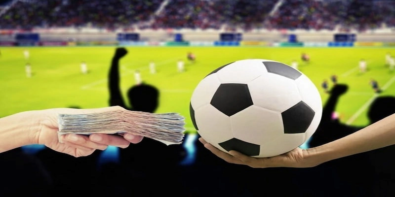 Hướng dẫn - BSPORT - TO79
