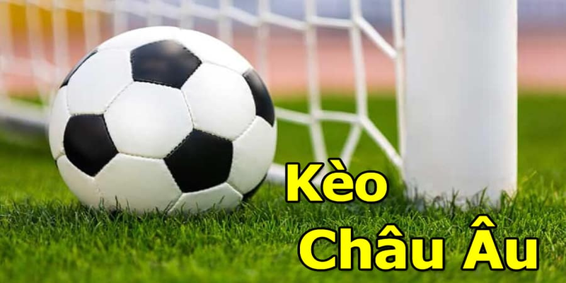 Bật mí Thông Tin Về Kèo Cá Độ Bóng Đá Chi Tiết Cho Newbie - BSPORT - TO79