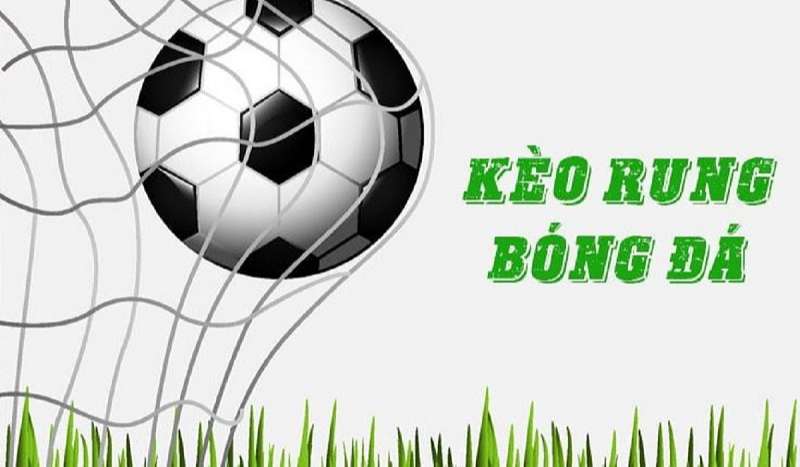 Kèo rung là gì và hướng dẫn phương pháp chơi kèo rung? - BSPORT - TO79