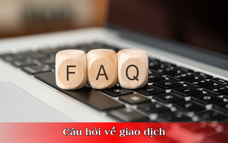 [FAQ] Câu hỏi thường gặp Bsport - BSPORT - TO79