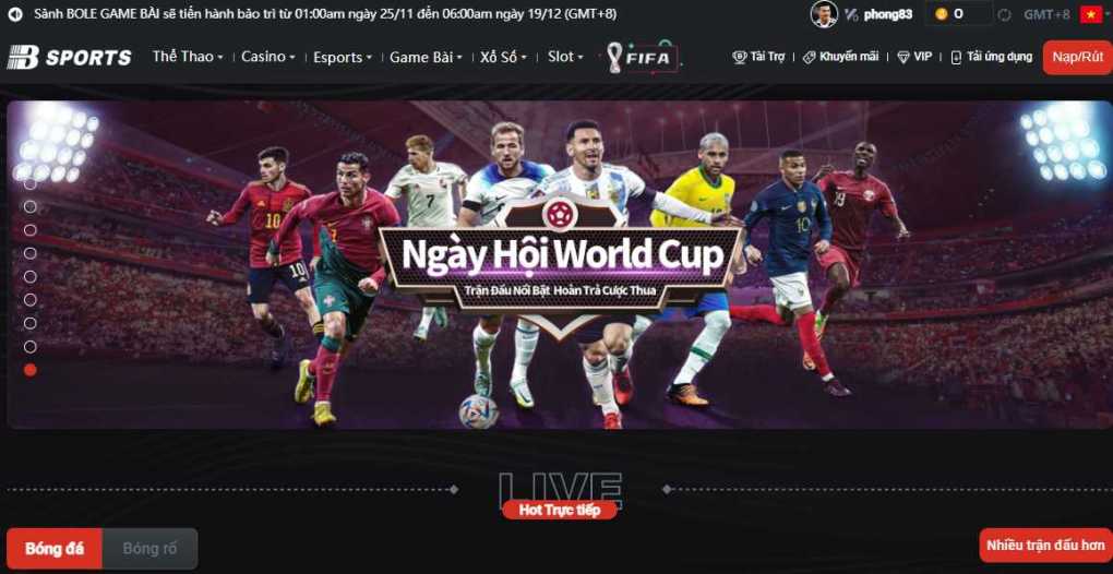 Giới thiệu Bsport - BSPORT - TO79